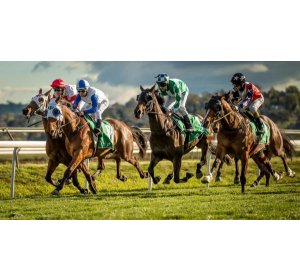 Riding to Fortunes: Horse Racing Wagers at GDBET333